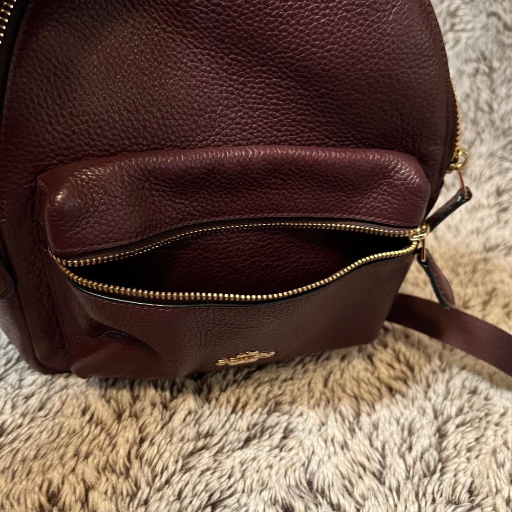 Coach Charlie Pebble Mini Leather Backpack - Picture 10 of 14